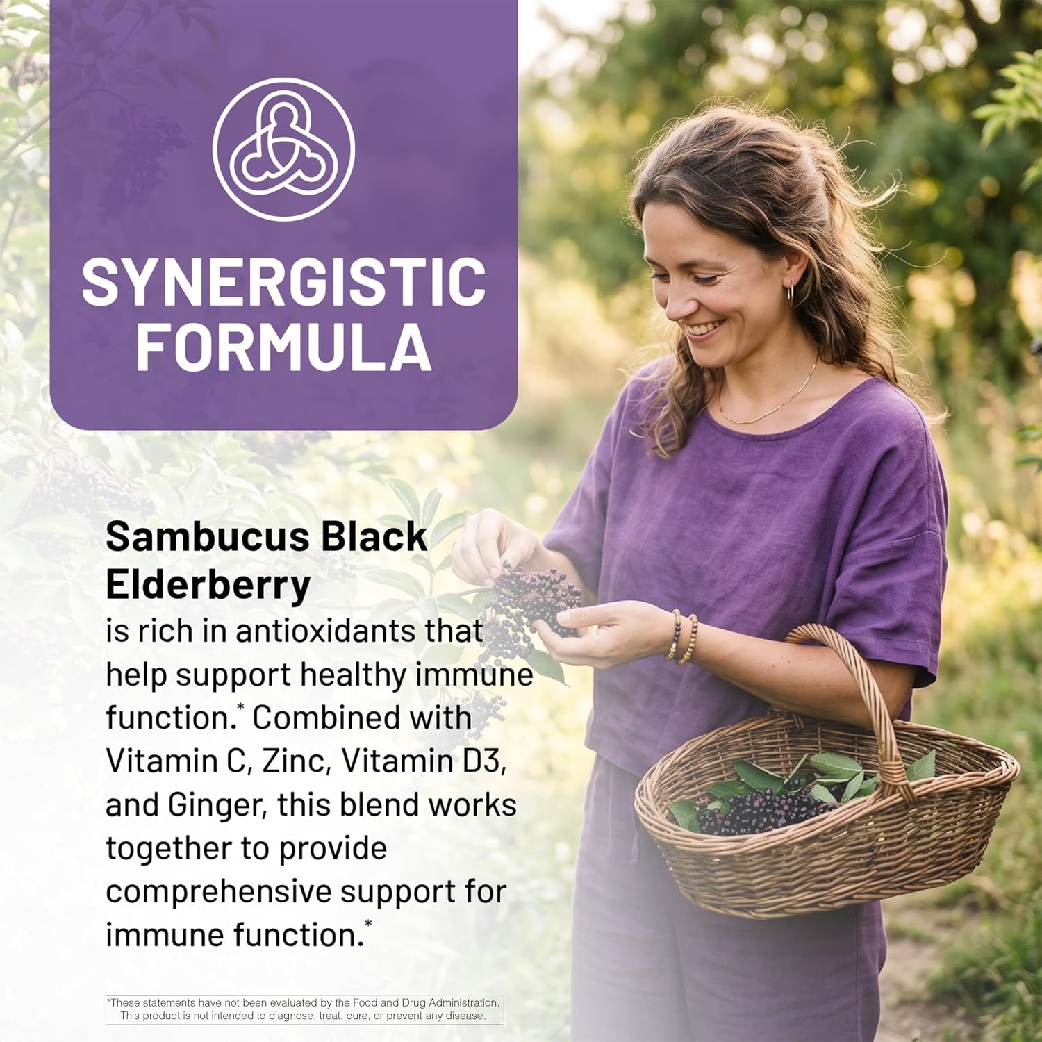 image:imageNatureWise Elderberry Vitamin C and Zinc for Adults Sambucus Black Elderberry and Ginger amp Vitamin D3 5000IU 5 in 1 Immune Support NonGMO USA Manufactured 120 Veggie Capsules60Day Supply