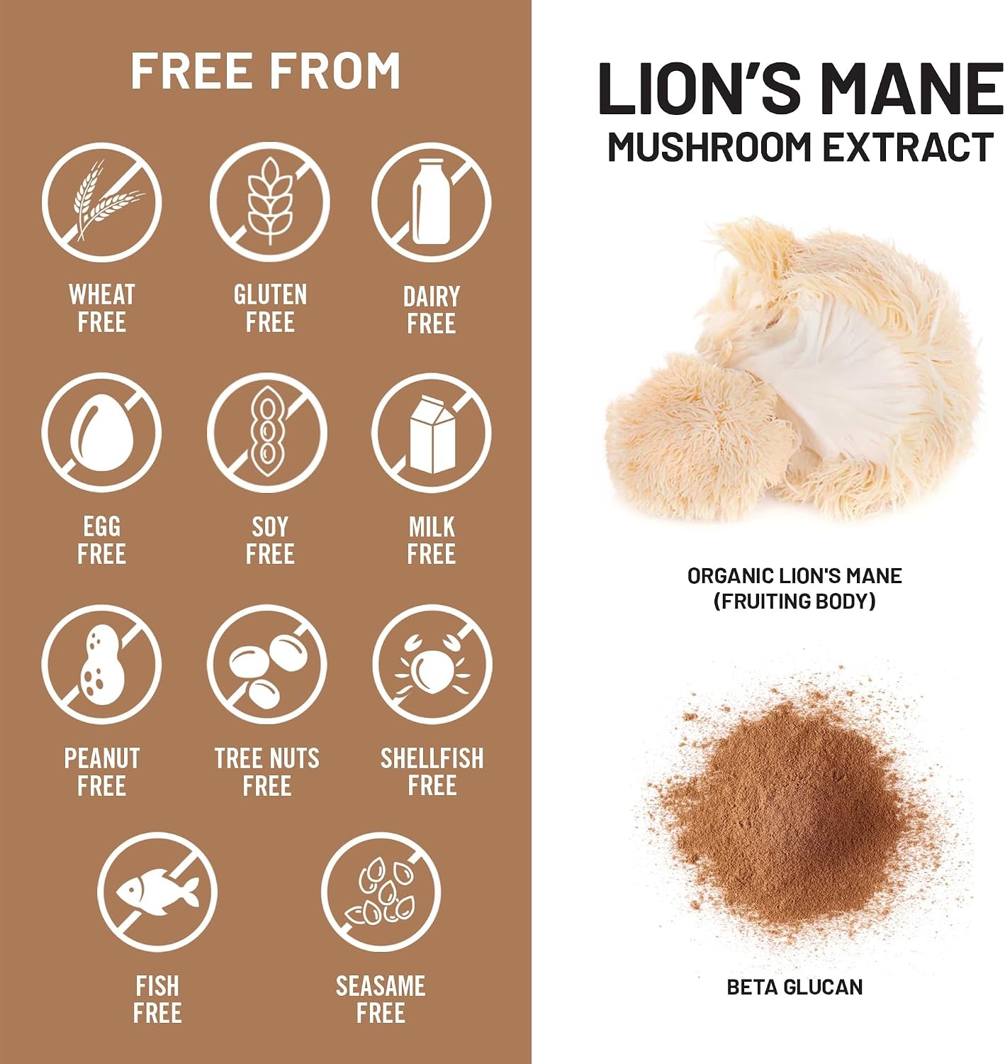 image:imageNatureWise Lions Mane Mushroom Supplement Organic Lions Mane Mushroom Extract 1200mg 360mg Beta Glucans Cognition amp Brain Support Vegan NonGMO USA Manufactured 120 Capsules60 Day Supply