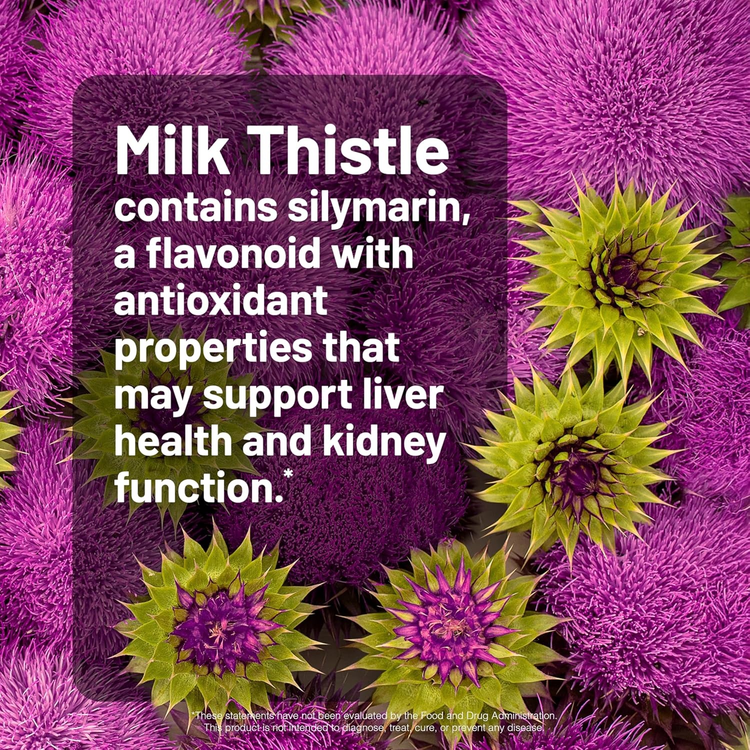 image:imageNatureWise Milk Thistle with Dandelion Root Silymarin Antioxidant Liver amp Kidney Health Support Supplement Vegan NonGMO Gluten Free 60 Count60Day Supply60 Count Pack of 1