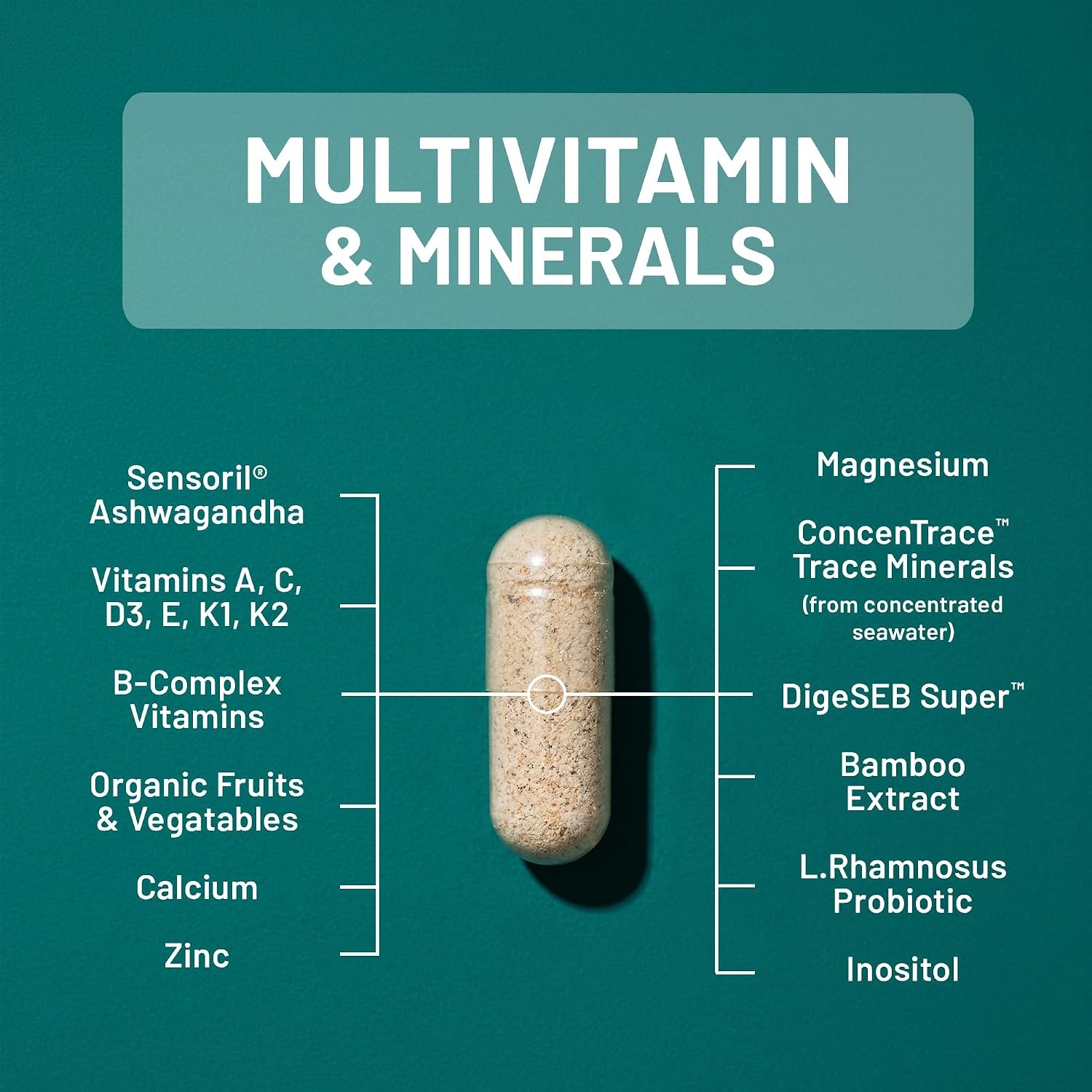 image:imageNatureWise Multivitamin for Men Stress Support Fulvic Ionic Minerals Probiotics for Immunity Male Health Digestion Whole Organic Foods Vegetarian NonGMO 60 Capsules1Month Supply