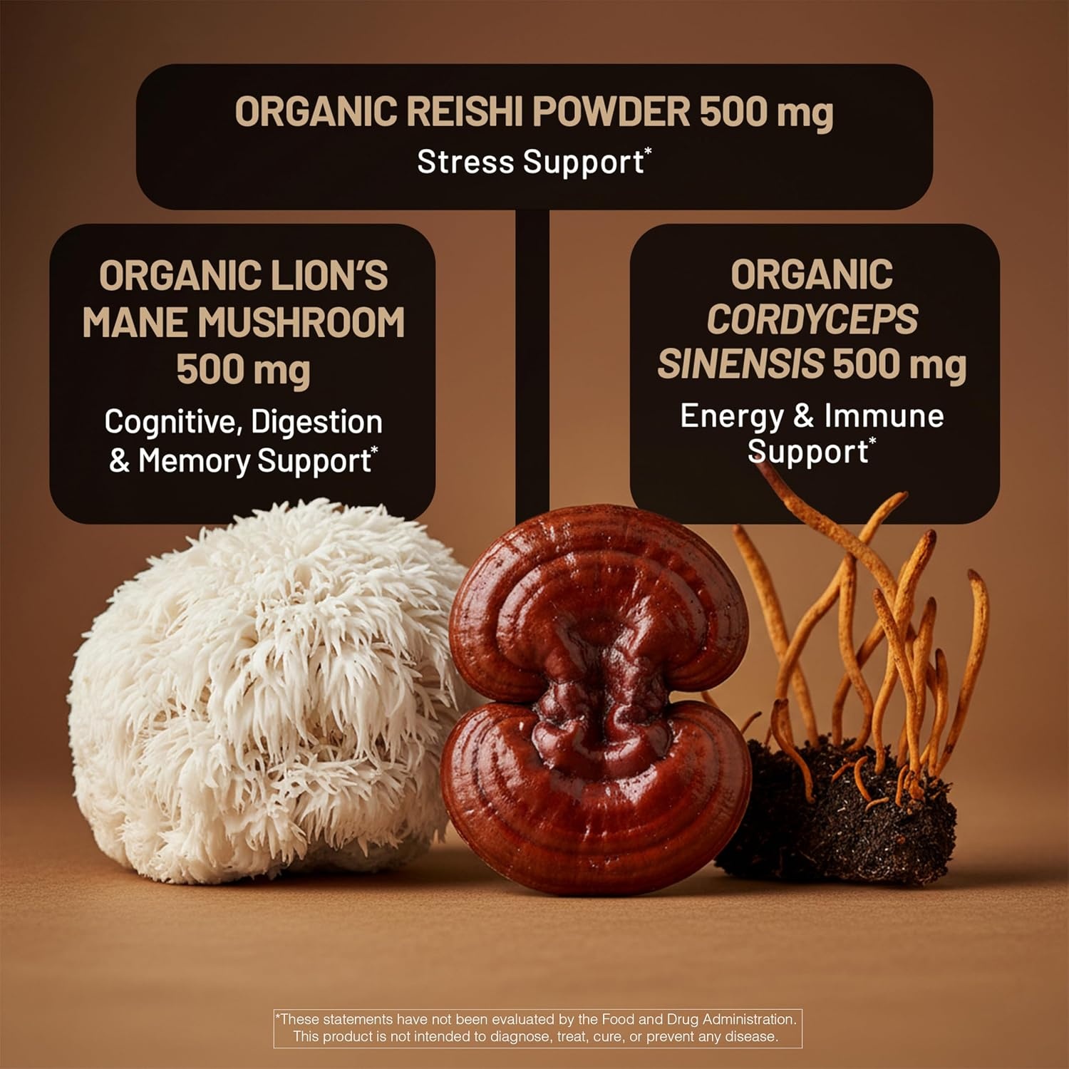 image:imageNatureWise Mushroom Complex with Organic Lions Mane Reishi amp Cordyceps Sinensis Lions Mane Supplement with Organic Mushrooms Vegan NonGMO USA Manufactured 90 Capsules30Day Supply