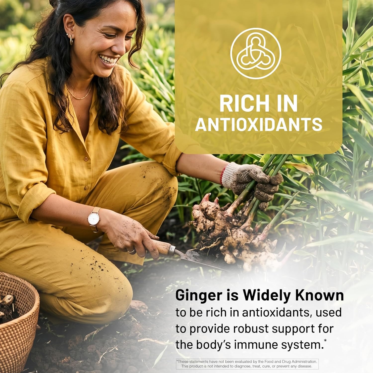 image:imageNatureWise Organic Ginger Root 1200mg USDA Organic Certified Organic by CCOF Digestive Comfort amp Immune System Support Vegan NonGMO USA Manufactured 90 Capsules45Day Supply