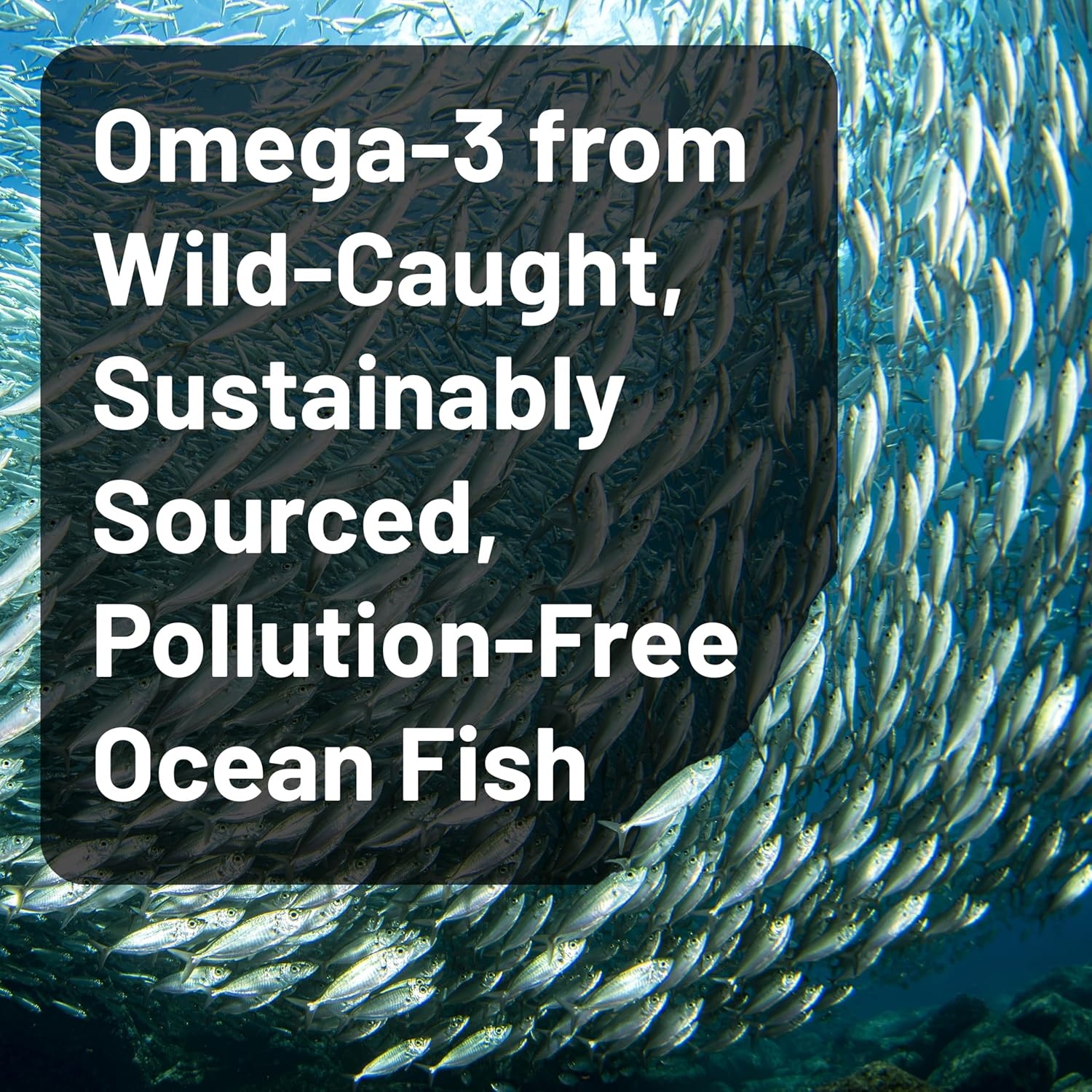 image:imageNatureWise Quadruple Strength Omega 3 Fish Oil 4080mg Natural TG Form Wild Caught 2450mg Omega 3 1350mg EPA 900mg DHA Burpless NonGMO amp USA Manufactured 120 Softgels40 Day Supply