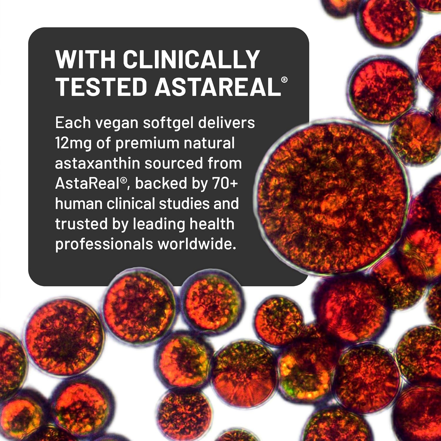 image:imageNatureWise Triple Strength Astaxanthin 12mg with AstaReal Vegan Antioxidant Supplement with Organic Coconut Oil NSF Certified Gluten Free 60 Softgels60 Day Supply