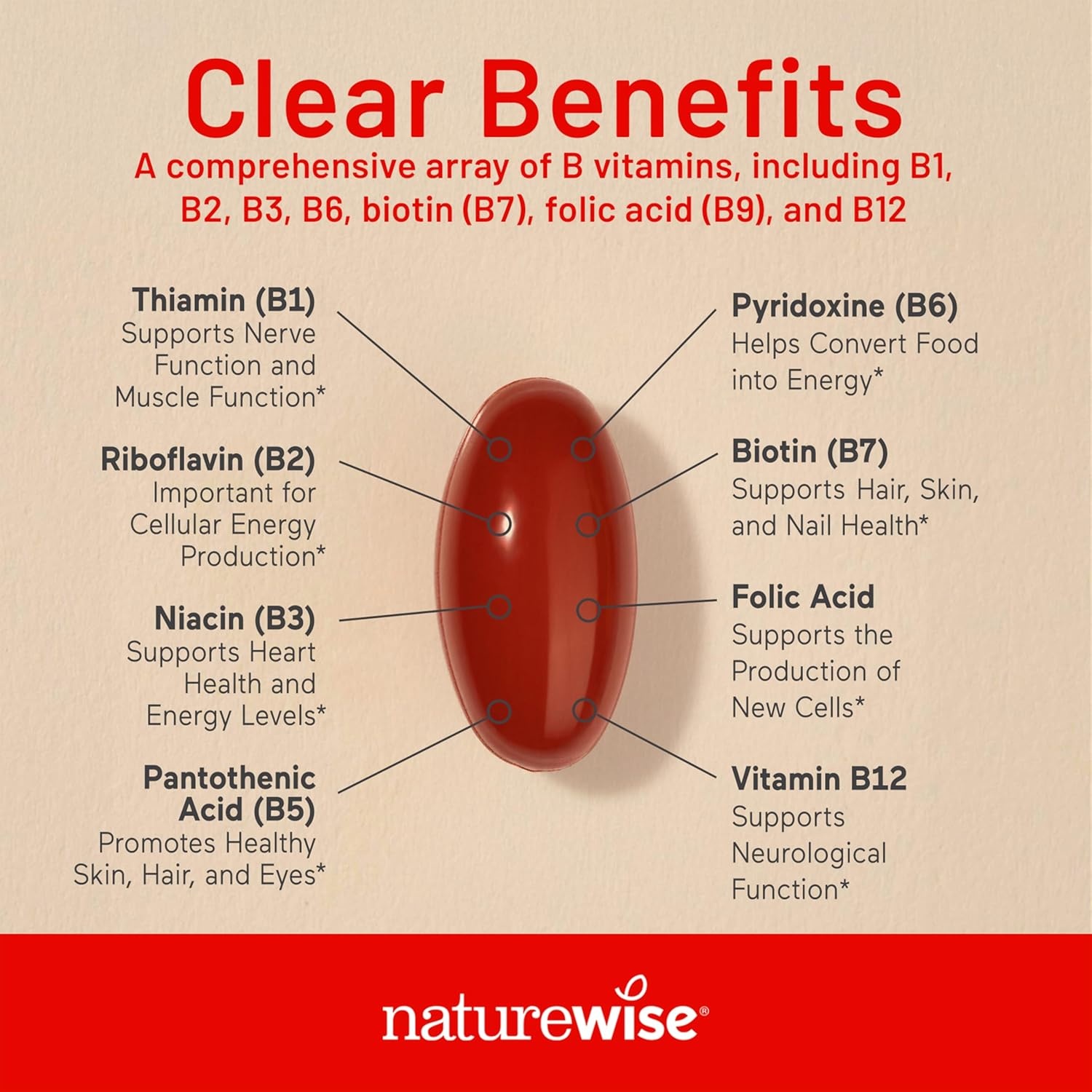 image:imageNatureWise Vitamin B Complex for Women and Men with Folic Acid Biotin B1 B2 B3 B6 B12 Support Cellular Energy amp Mental Clarity Gluten amp Dairy Free 60 Softgels2Month Supply360 Count Pack of 1