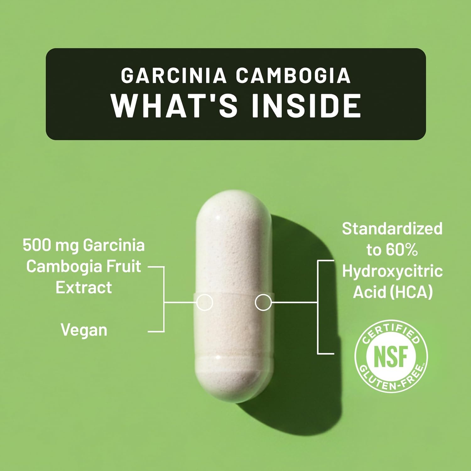 image:imageNaturewise Garcinia Cambogia 60 HCA Concentration Extract Natural Support for Weight Goals and Energy Levels Vegan NonGMO Gluten Free 90 Capsules13 Month Supply180 Count Pack of 1