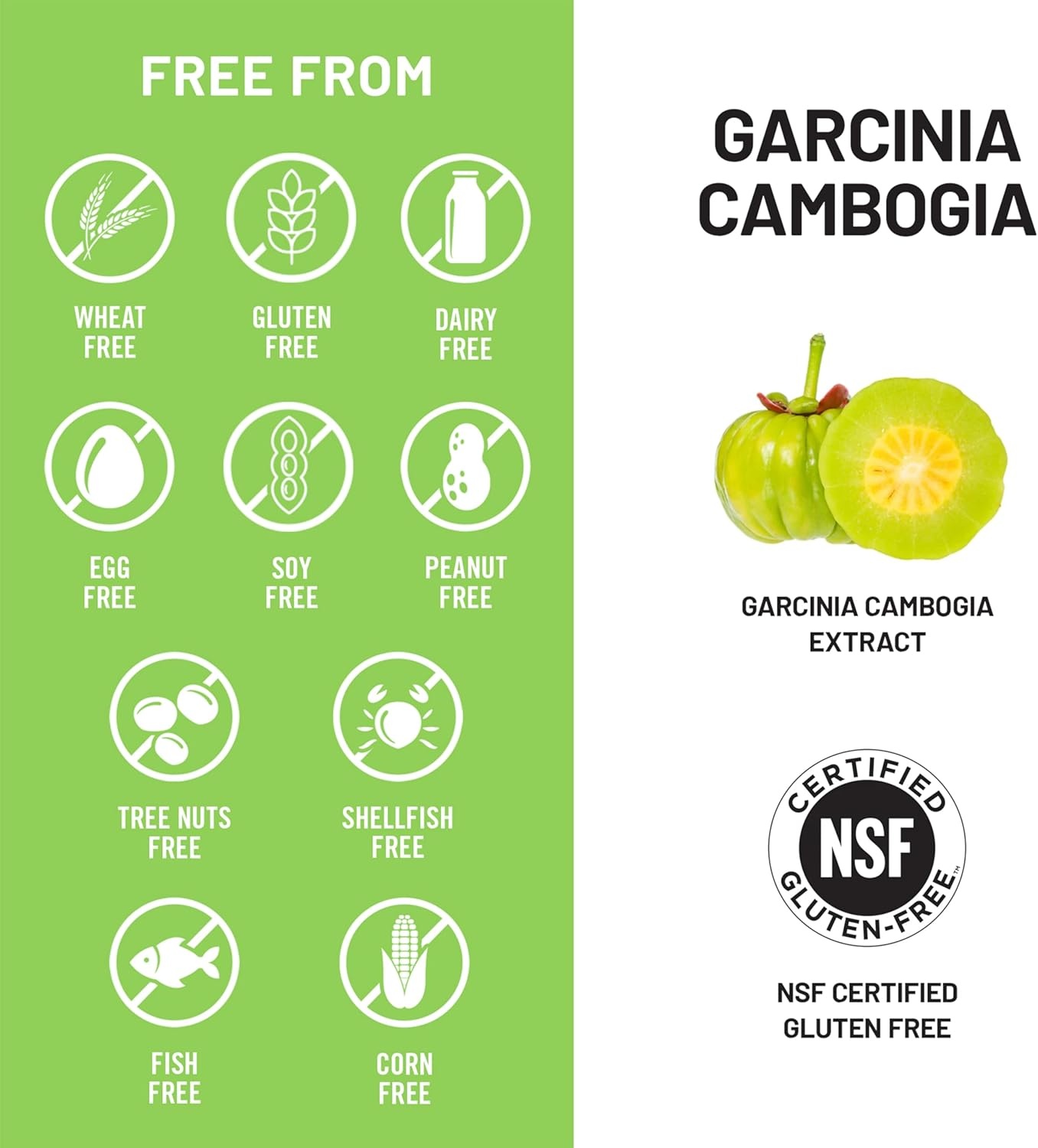image:imageNaturewise Garcinia Cambogia 60 HCA Concentration Extract Natural Support for Weight Goals and Energy Levels Vegan NonGMO Gluten Free 90 Capsules13 Month Supply90 Count Pack of 1