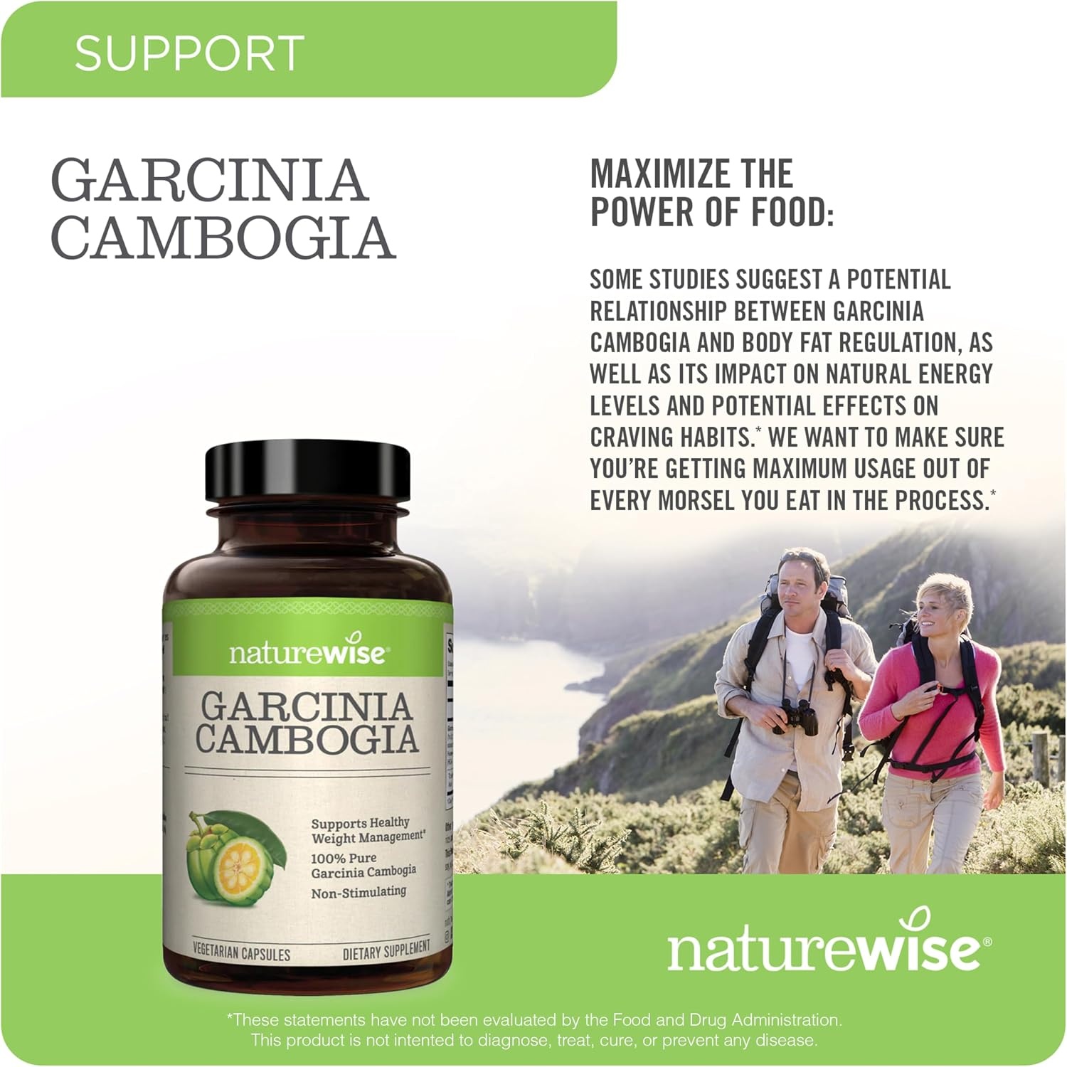 image:imageNaturewise Garcinia Cambogia 60 HCA Concentration Extract Natural Support for Weight Goals and Energy Levels Vegan NonGMO Gluten Free 90 Capsules13 Month Supply180 Count Pack of 2